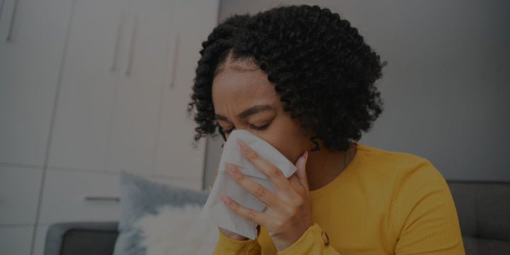 Best Filters For Allergies Best Filters For Allergies