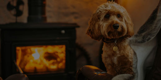 Best Furnace Filters For Homes With Pets Best Furnace Filters For Homes With Pets