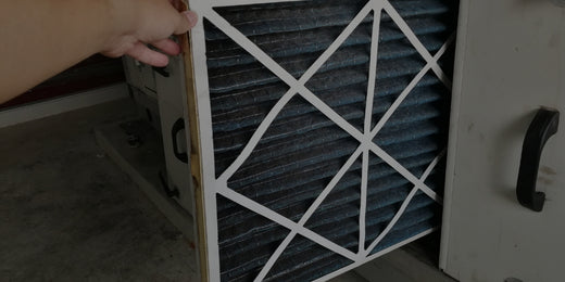Best Air Filters For Mold Best Air Filters For Mold