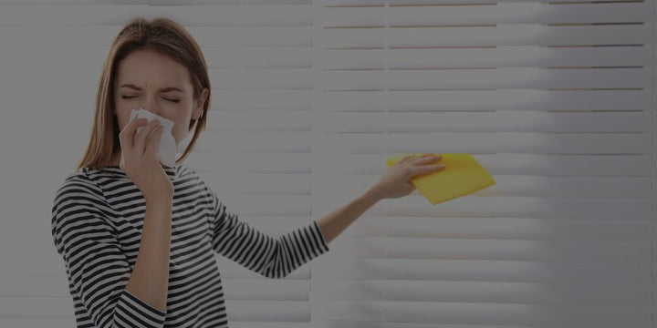 The Ultimate Guide To Choosing The Best Air Filter For Dust Control The Ultimate Guide To Choosing The Best Air Filter For Dust Control
