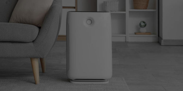 Air Purifiers 101: How To Choose The Best Solution For Every School Space Air Purifiers 101: How To Choose The Best Solution For Every School Space