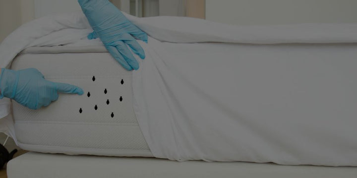 Dust Mites In Mattresses: How To Spot And Remove Them