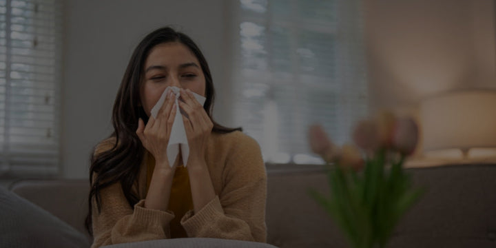 How Air Filters Help Control Allergens Beyond Just Pollen