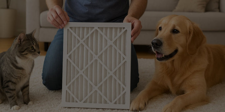 Choosing The Perfect Air Filter For Pet Owners