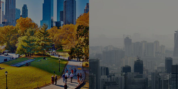 U.S. Cities With The Best And Worst Air Quality In 2024