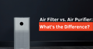 Air Filter vs. Air Purifier