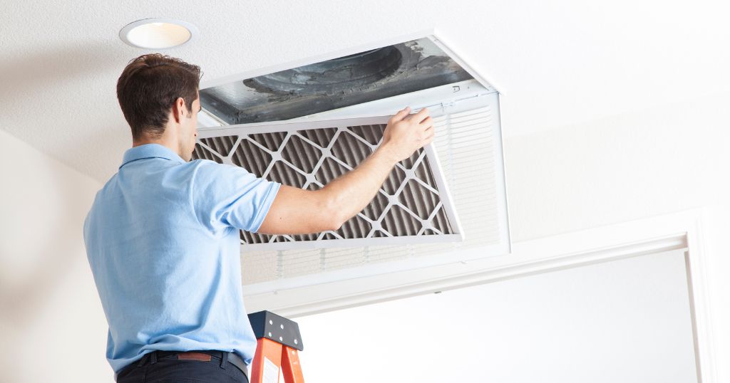 Best Air Filter for Your Allergies